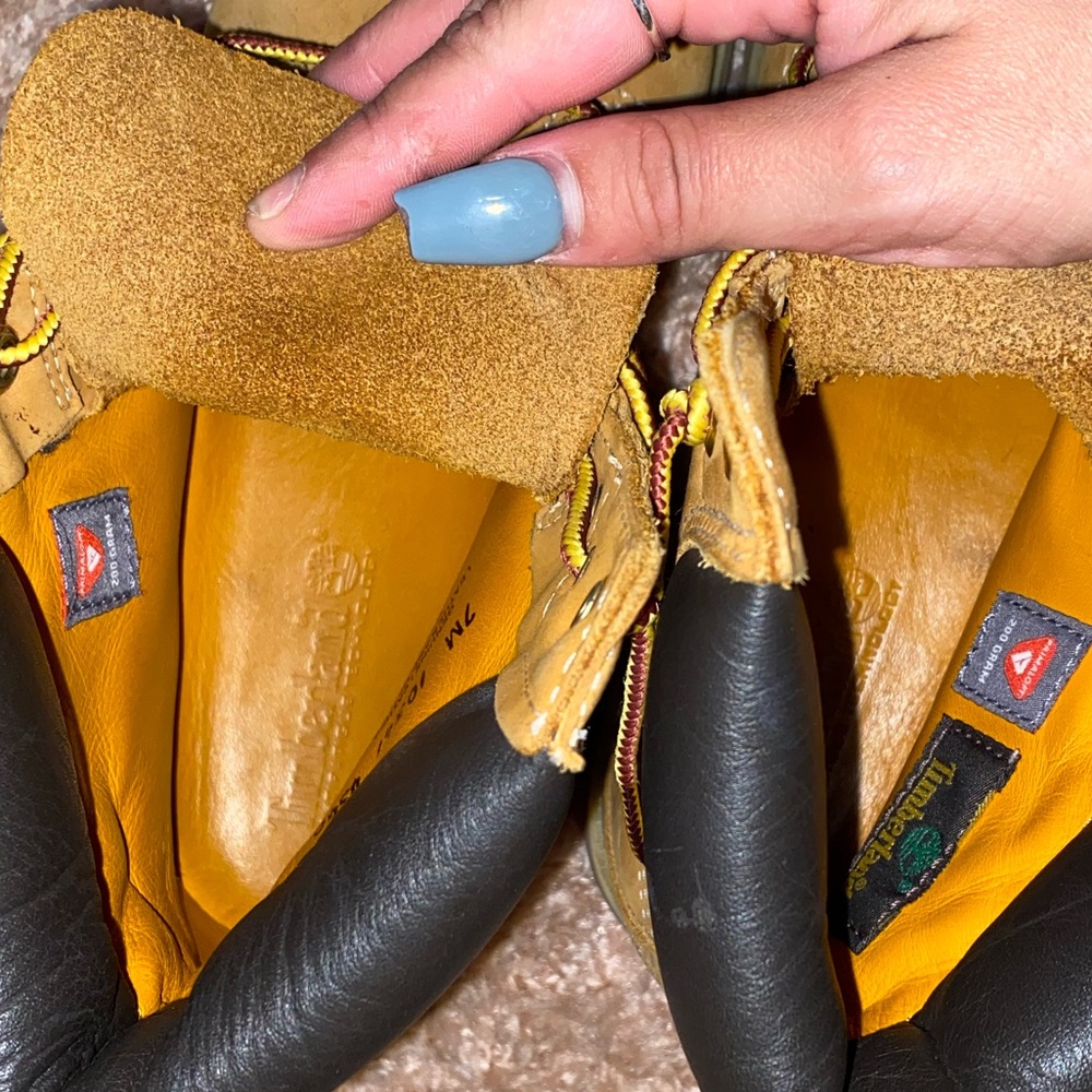 Timberlands - Picture 4 of 8